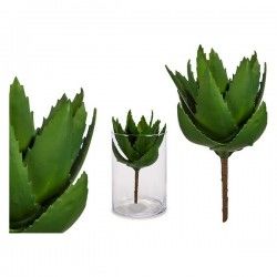 Plante décorative Aloe Vera...