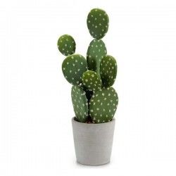 Cactus Plastique Cactus (13...