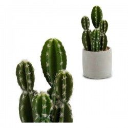 Cactus Plastique Cactus (12...