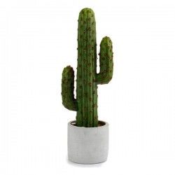 Cactus Plastique Cactus (10...