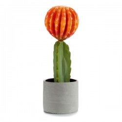 Cactus Orange Plastique...