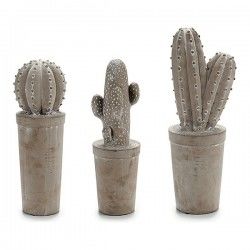 Cactus Pierre Cactus 3 (13...