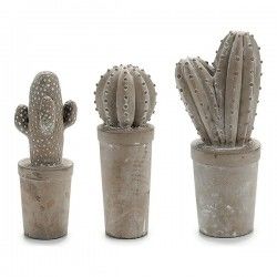 Cactus Pierre Cactus 3 (11...